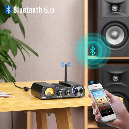 HiFi Digital Audio Amp 300W with VU Meter and 48V Plug
