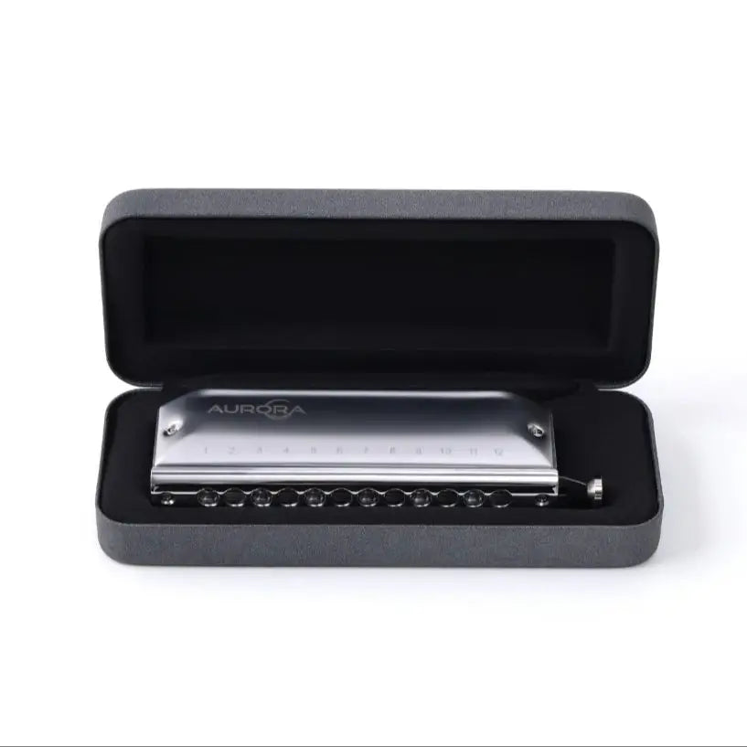 Professional 12 Hole Chromatic Harmonica Key C