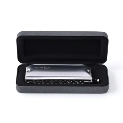 Professional 12 Hole Chromatic Harmonica Key C