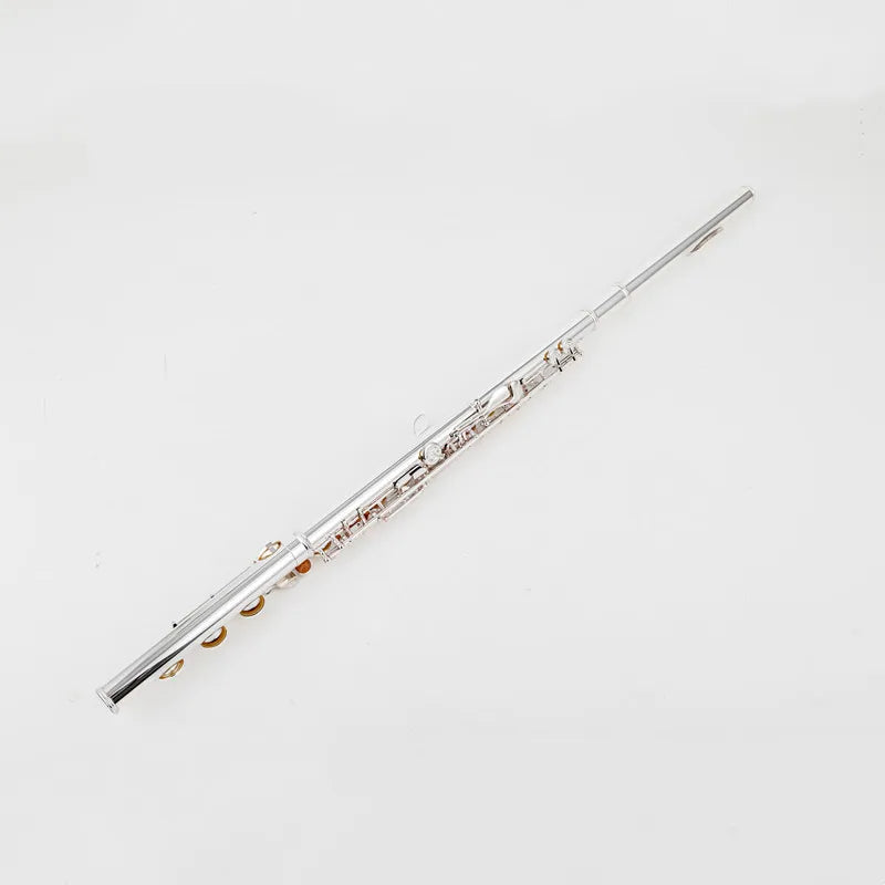 Professional Silver-Plated Flute C Key 17-Hole with Case