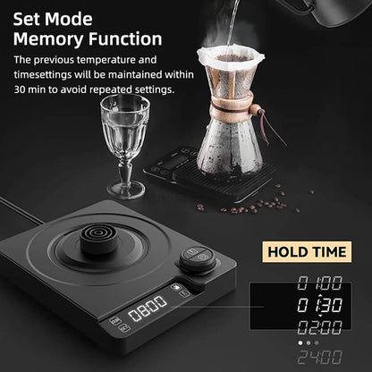 1L Electric Gooseneck Kettle with Temperature Control 1200W