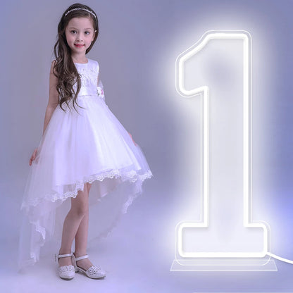 76cm 100cm LED Neon Number Light for Birthday or Wedding