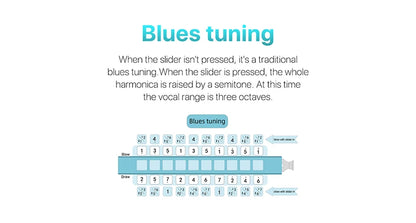 Professional Blues Harp Harmonica Key C Music Instrument