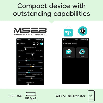 Portable HiFi Music Player USB DAC Bluetooth 5.1