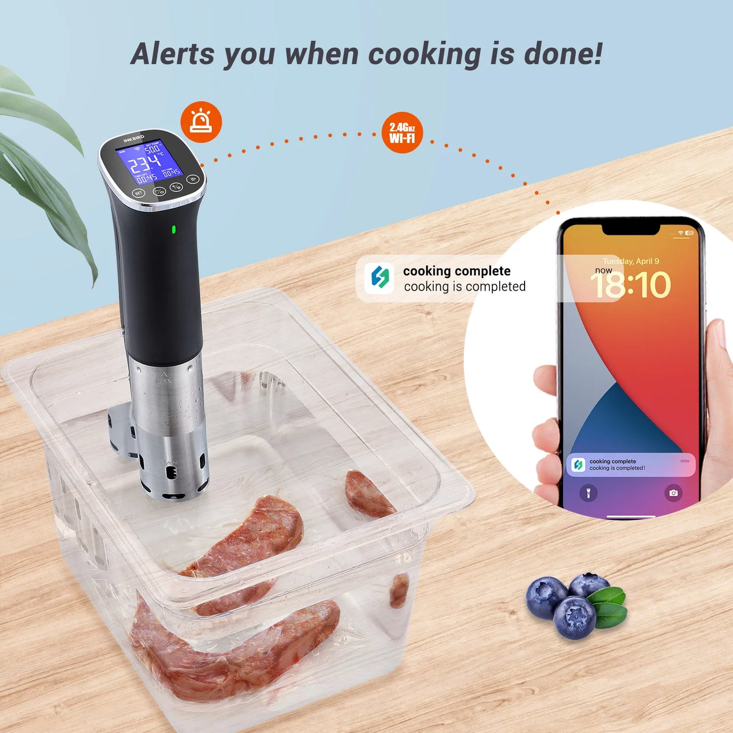 Smart WiFi Sous Vide Cooker IPX7 Waterproof