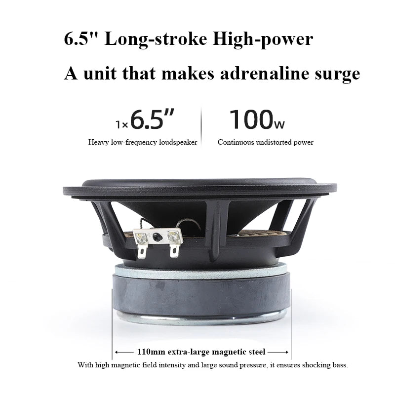 100W Home Theatre Passive Subwoofer Speaker