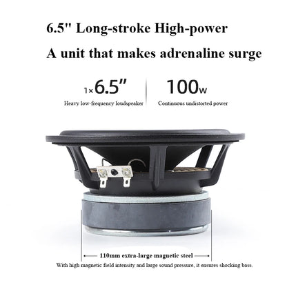 100W Home Theatre Passive Subwoofer Speaker