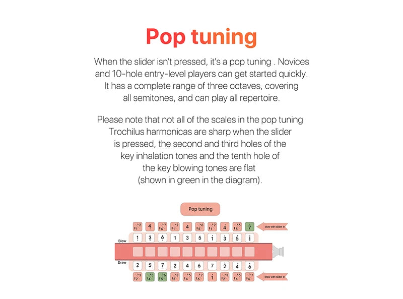 10 Hole Diatonic Harmonica Key of C Pop Style