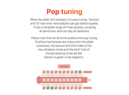 10 Hole Diatonic Harmonica Key of C Pop Style