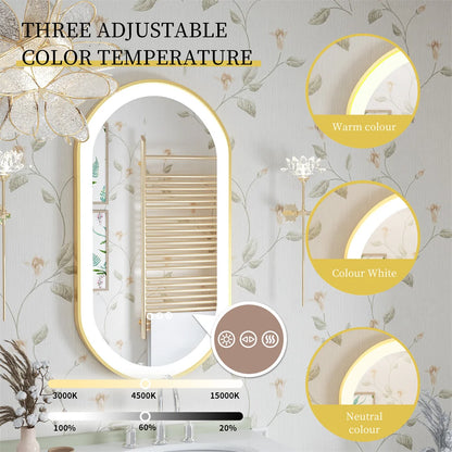 100x50cm Gold Frame Oval Mirror with LED & Demister