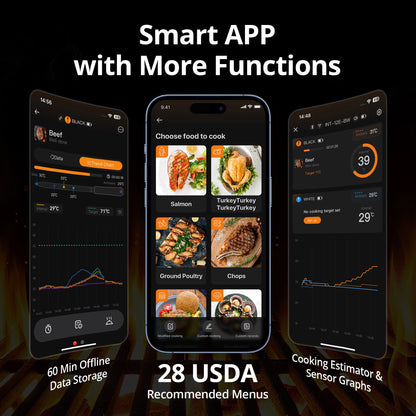 Smart Wireless Meat Thermometer WiFi Bluetooth 5 Probe IP67