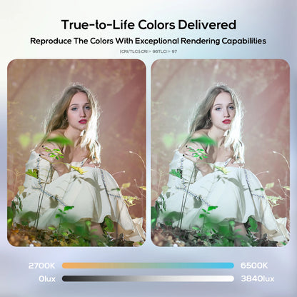 100W Handheld LED Video Light with Bi Color Adjustment