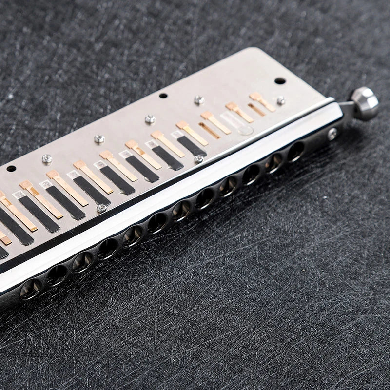 12-Hole Chromatic Harmonica Professional Mouth Organ