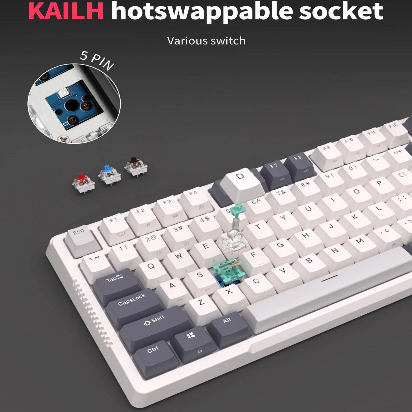 RK H81 81 Key Mechanical Keyboard White Blue Switch RGB