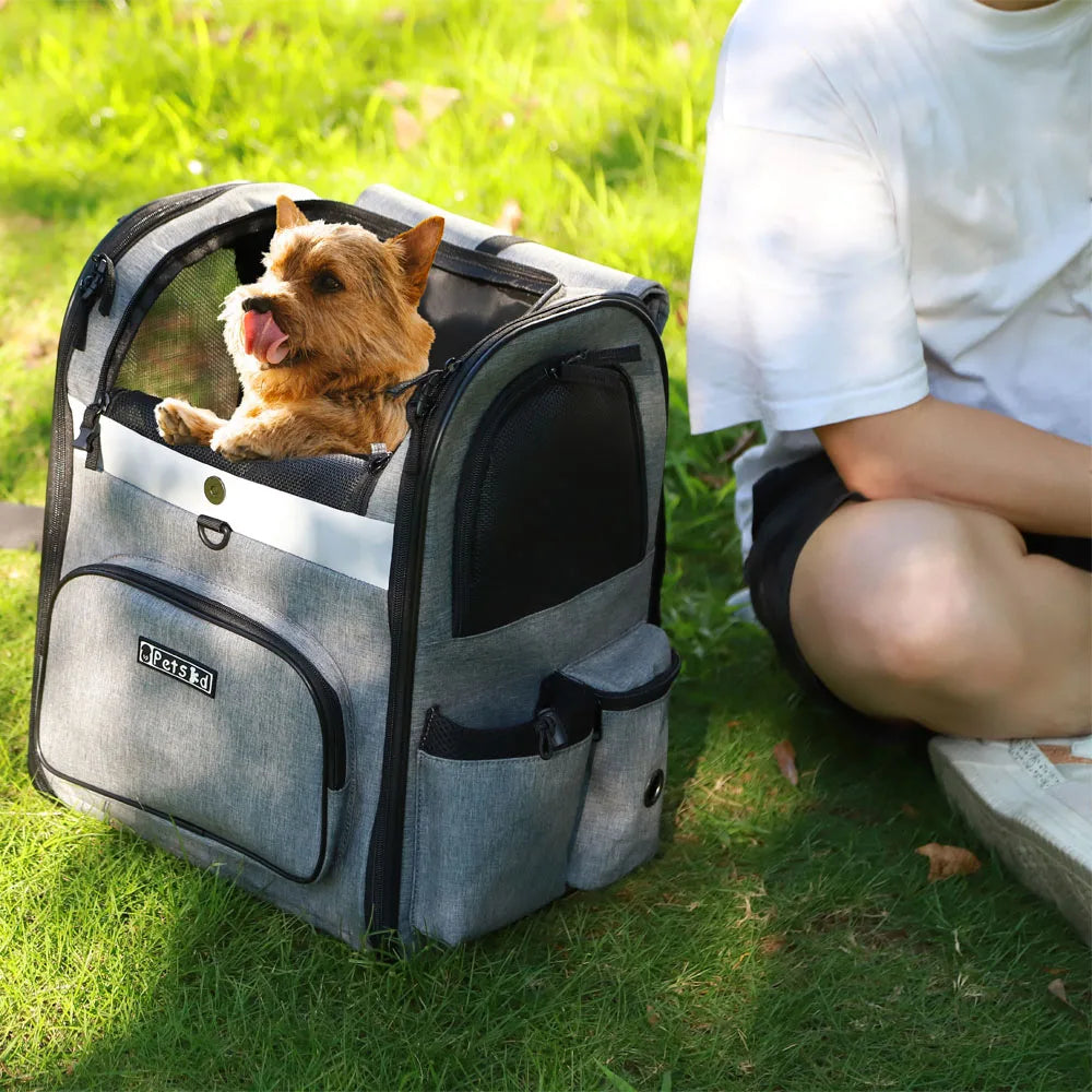 Pet Carrier Bag Foldable Double Shoulder Travel Backpack Blue