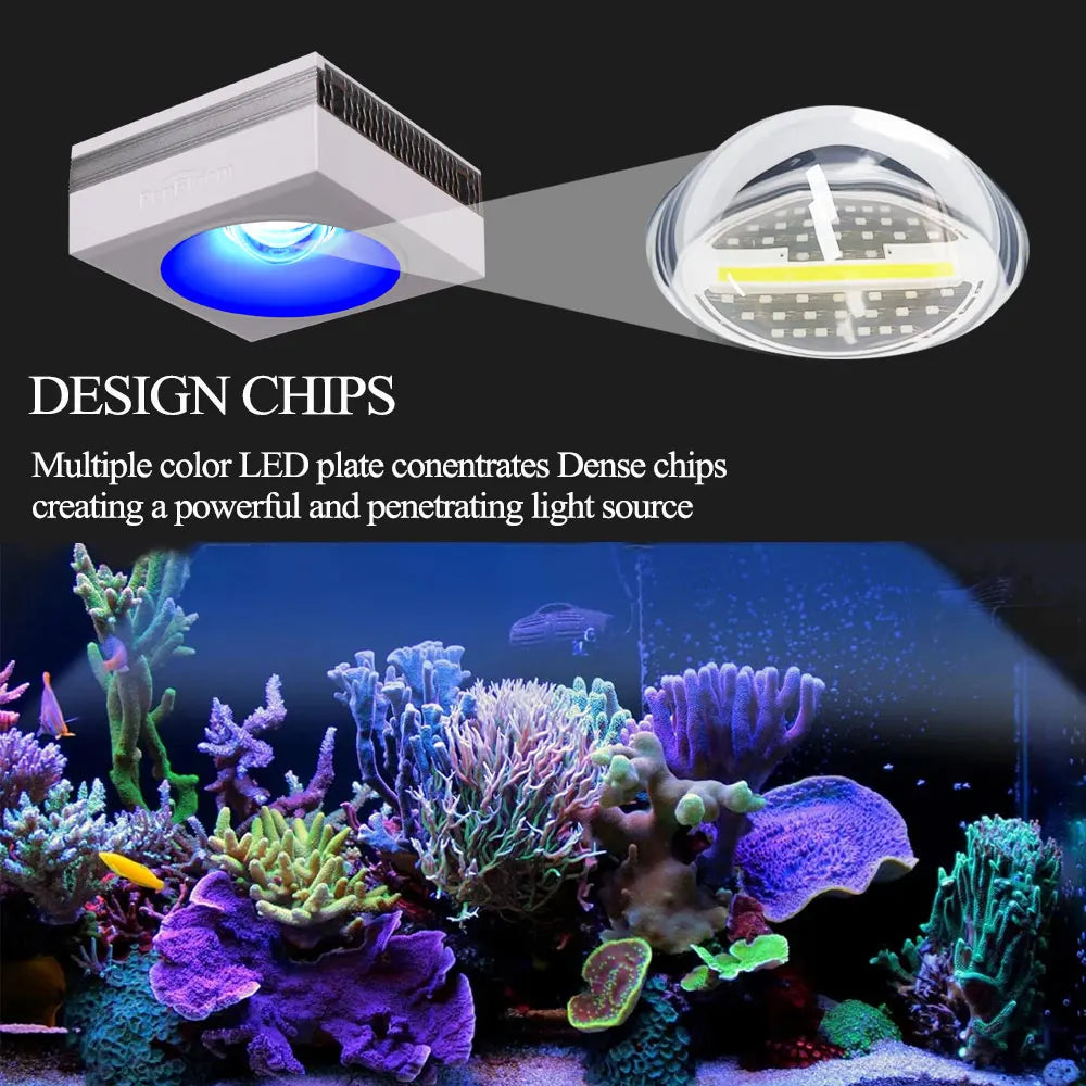 RL90 WiFi LED Aquarium Lamp Single Mount Light