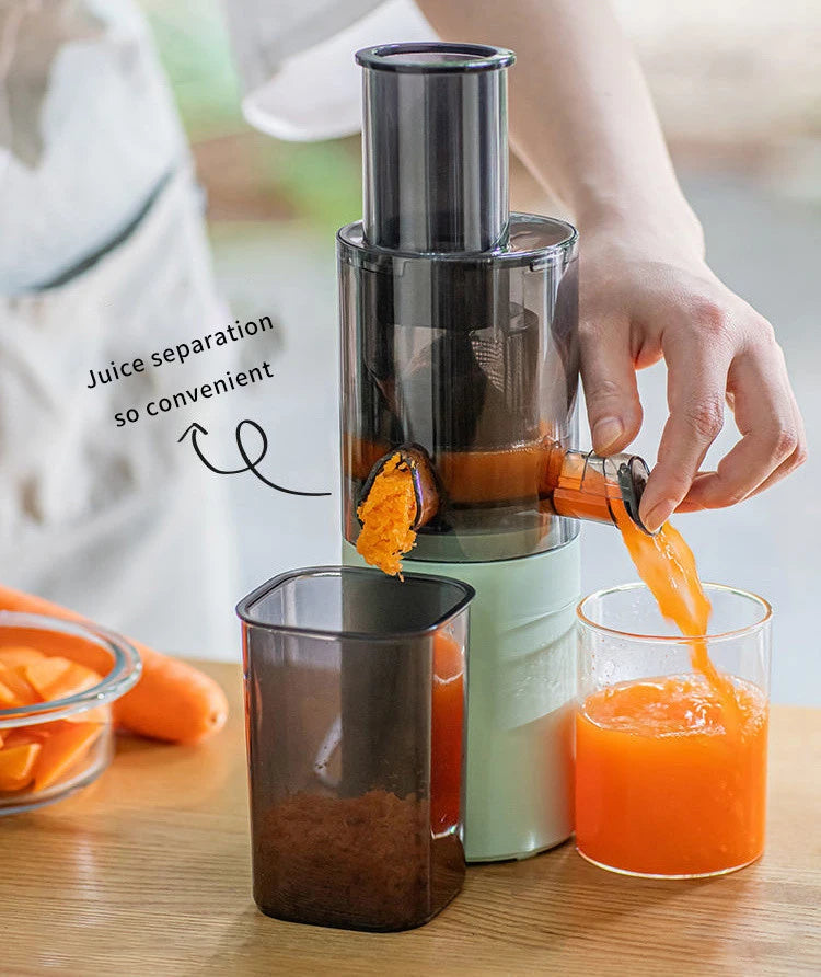 Portable Mini Slow Juicer for Fruit and Vegetable Juicing