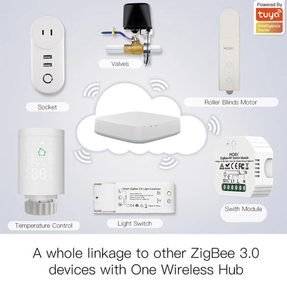 ZigBee Smart Roller Blind Motor with App & Voice Control