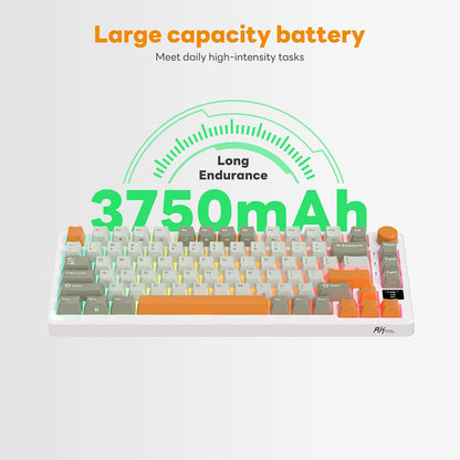 Hot-Swap RGB Mechanical Gaming Keyboard Fast Silver Switch