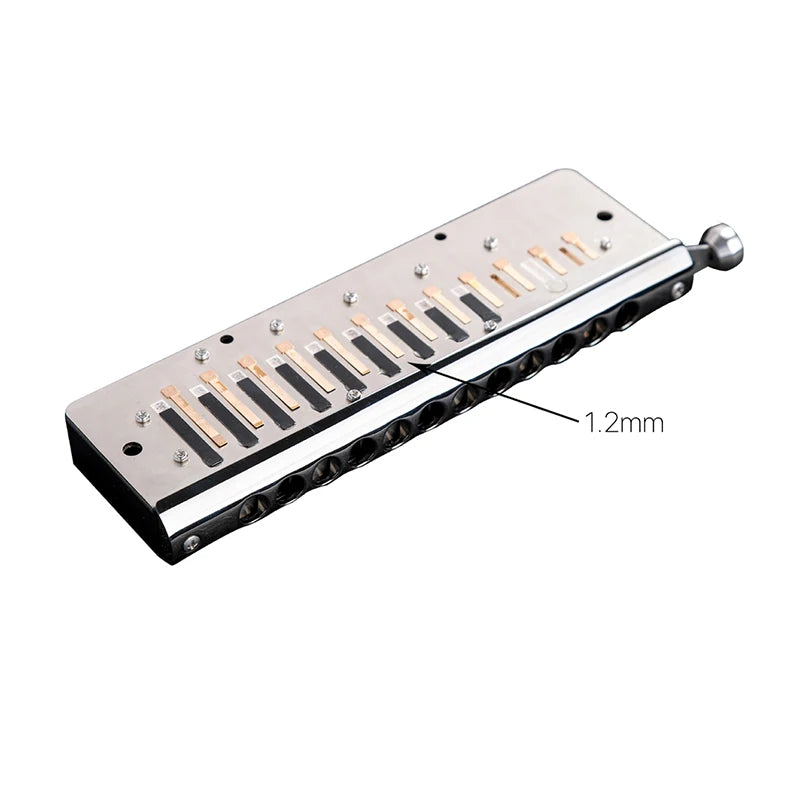 Professional 48-Tone Chromatic Harmonica Key of C