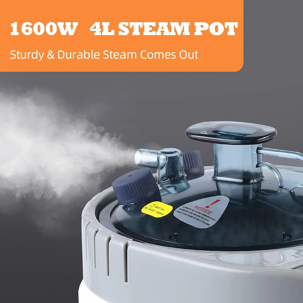 Large Portable Steam Sauna Tent with 4L Steamer