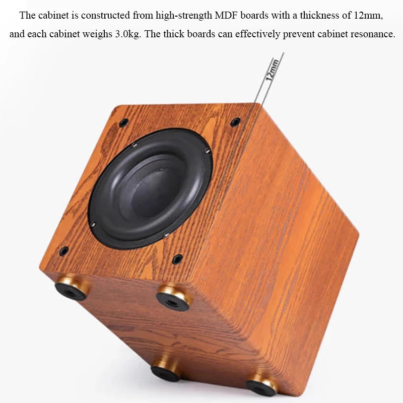 100W Home Theatre Passive Subwoofer Speaker