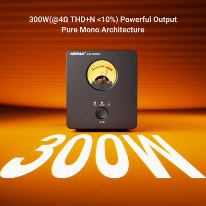 300W Mono Hi-Fi Power Amplifier Class D with XLR Input