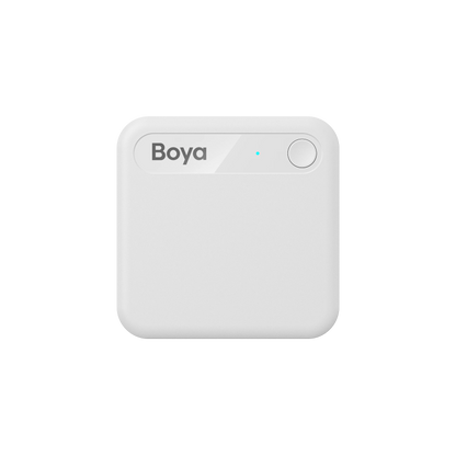 AI Voice Recorder with Transcription & Meeting Summaries