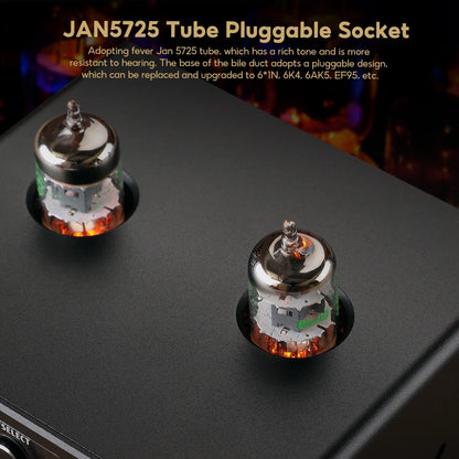 HiFi Bluetooth Tube Amplifier USB DAC and VU Meters 24V