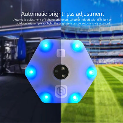 Pro Portable Reaction Training Lights 8 Piece