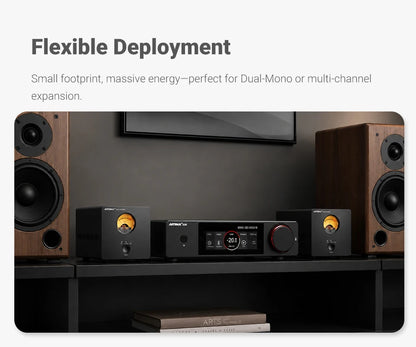 300W Mono Hi-Fi Power Amplifier Class D with XLR Input