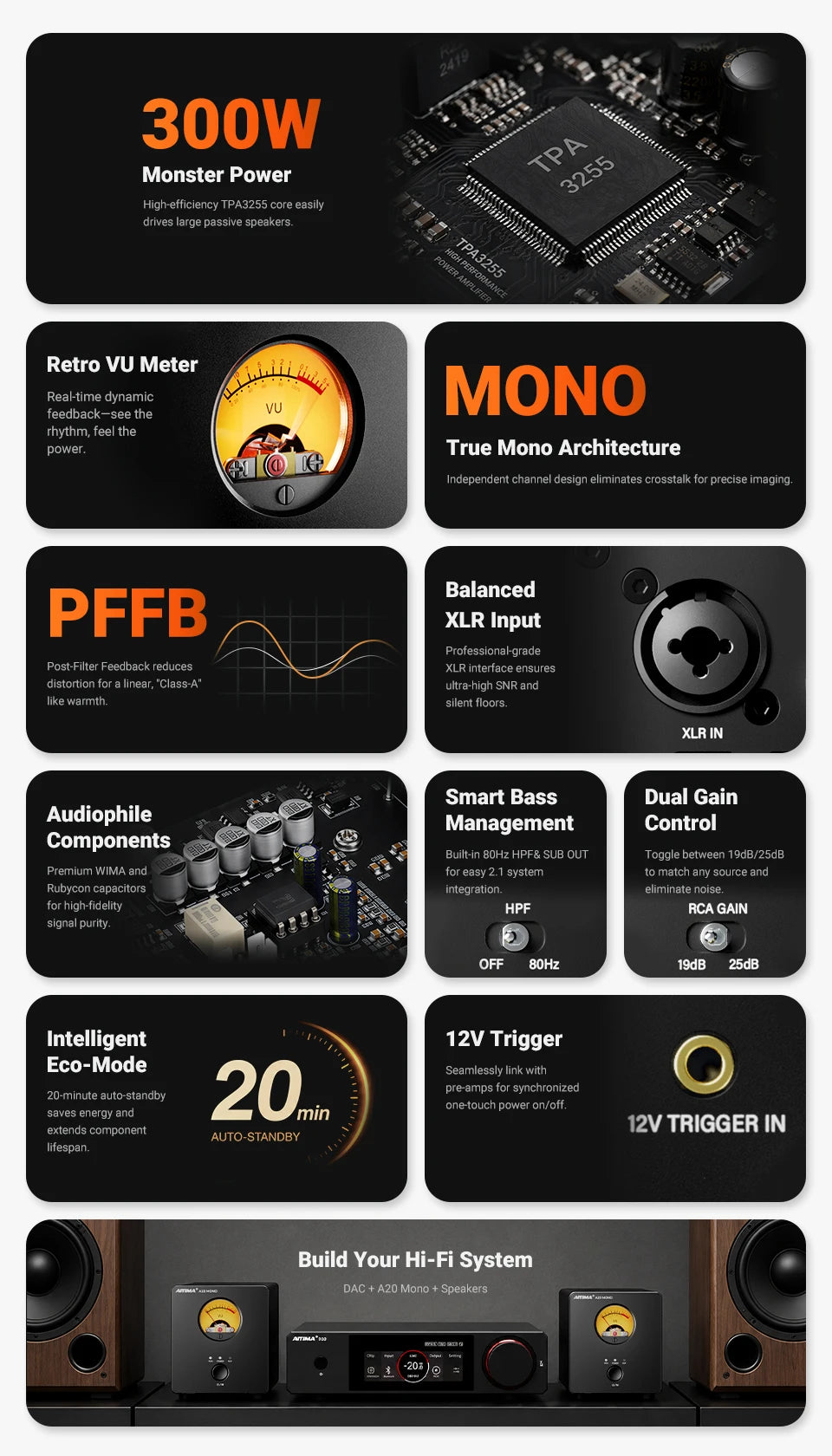 300W Mono Hi-Fi Power Amplifier Class D with XLR Input