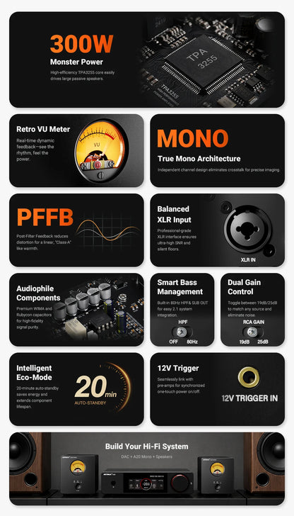 300W Mono Hi-Fi Power Amplifier Class D with XLR Input