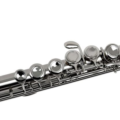 16 Key C Flute with Case Cleaning Cloth and Gloves
