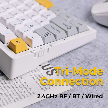 Gasket-Mounted 75% Wireless RGB Keyboard 13A