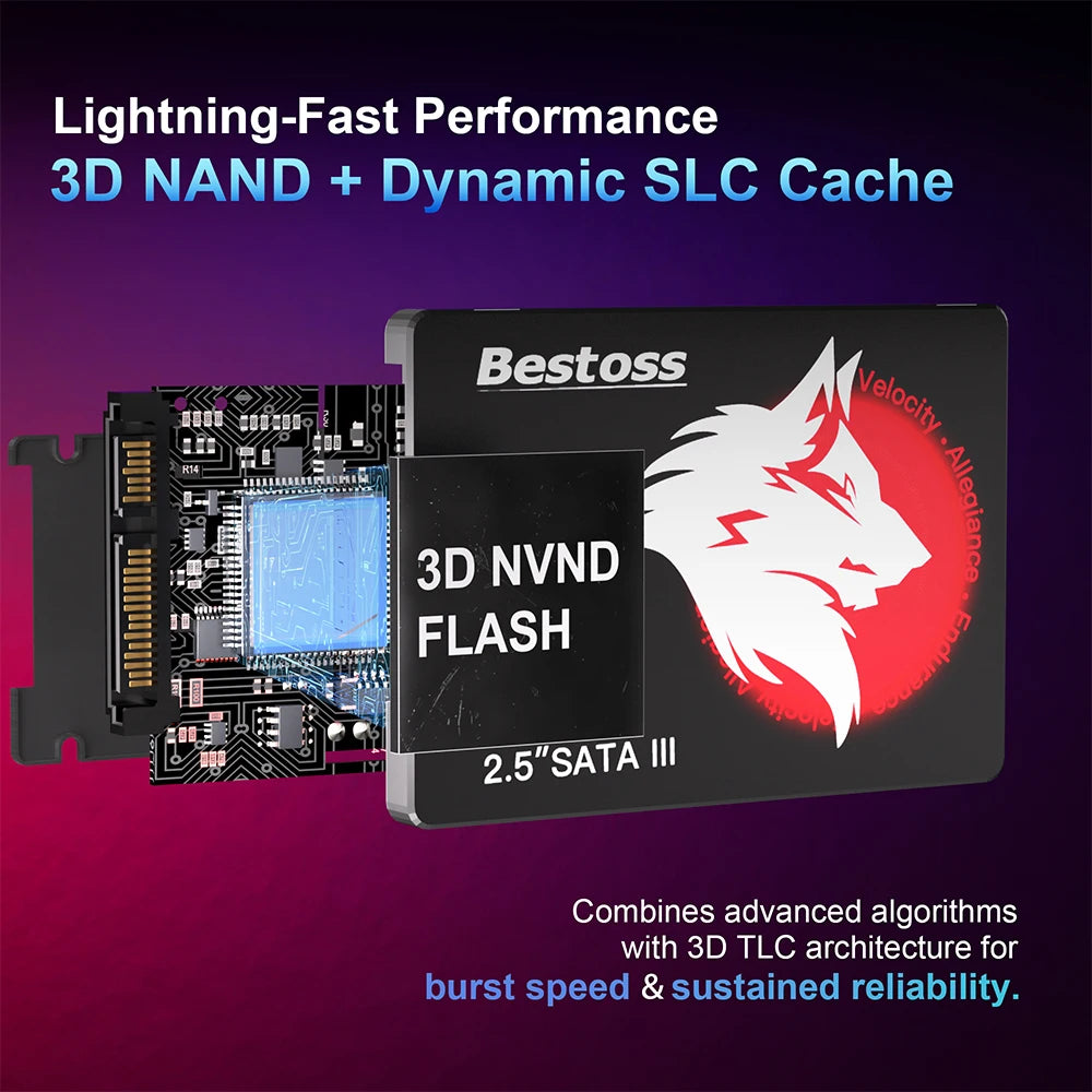 1TB SATA 3.0 Internal SSD for Desktop and Laptop