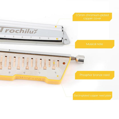 10 Hole Chromatic Harmonica Key C Musical Instrument