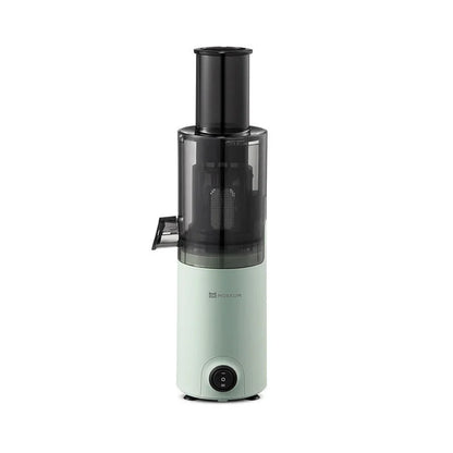 Portable Mini Slow Juicer for Fruit and Vegetable Juicing