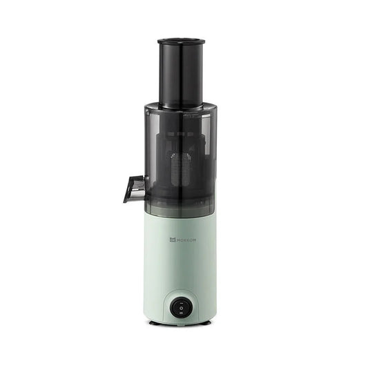 Portable Mini Slow Juicer for Fruit and Vegetable Juicing