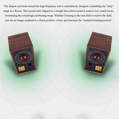 Hi-Fi 5.25" Coaxial 2-Way 120W Passive Speaker
