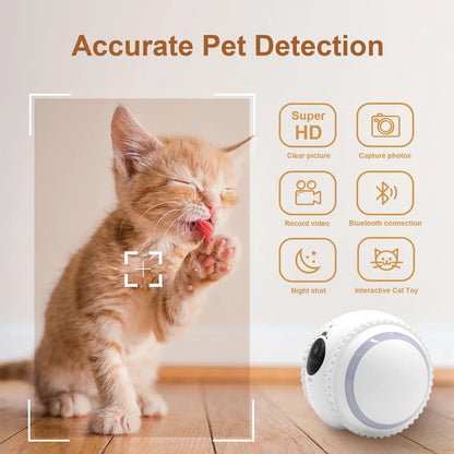 AI Interactive Pet Companion Robot 32GB