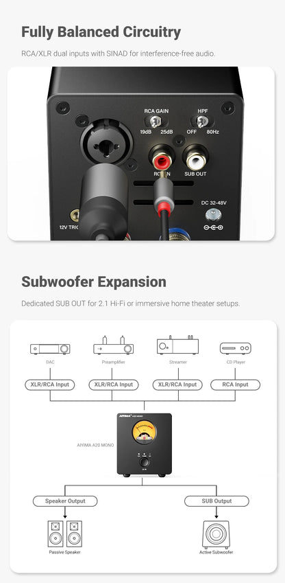 300W Mono Hi-Fi Power Amplifier Class D with XLR Input