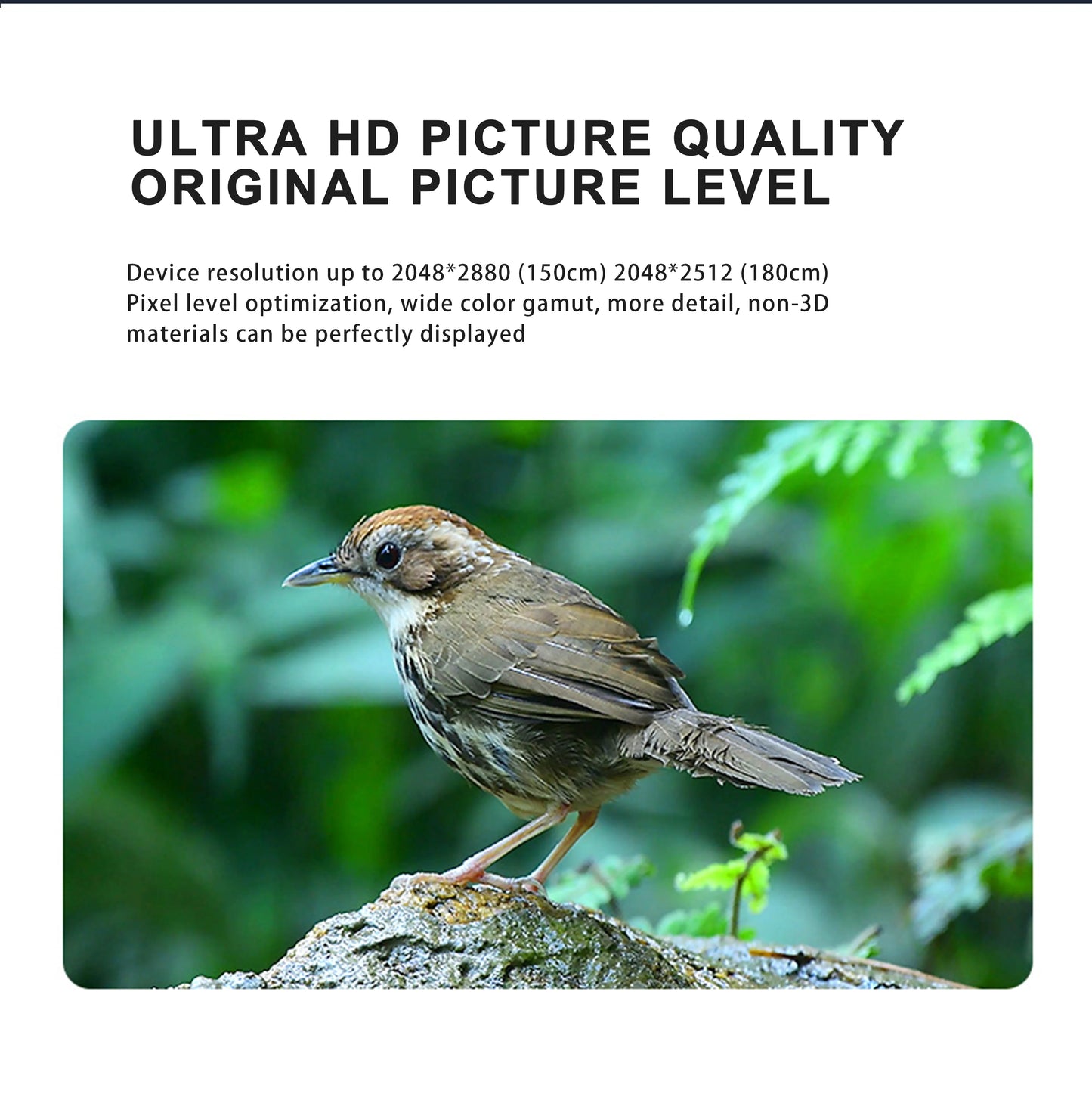 Ultra HD 65cm 3D Advertising Display with LED Lights