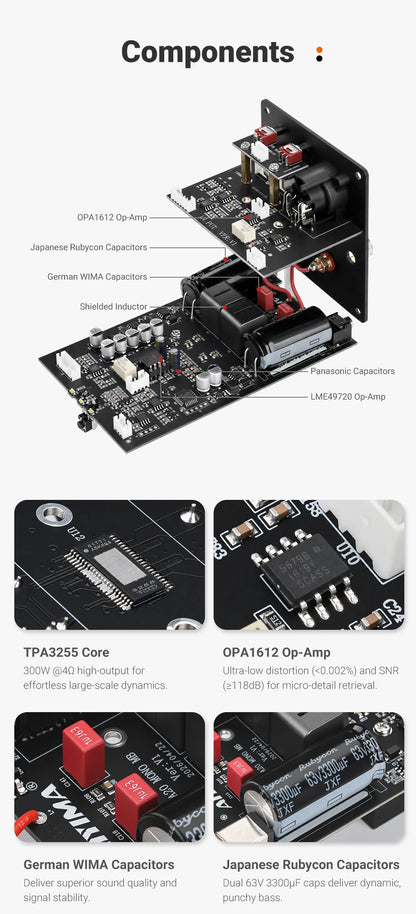 300W Class D Mono Power Amplifier with XLR RCA Input