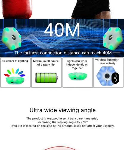 6 Lamp LED Reaction Training System for Athletes