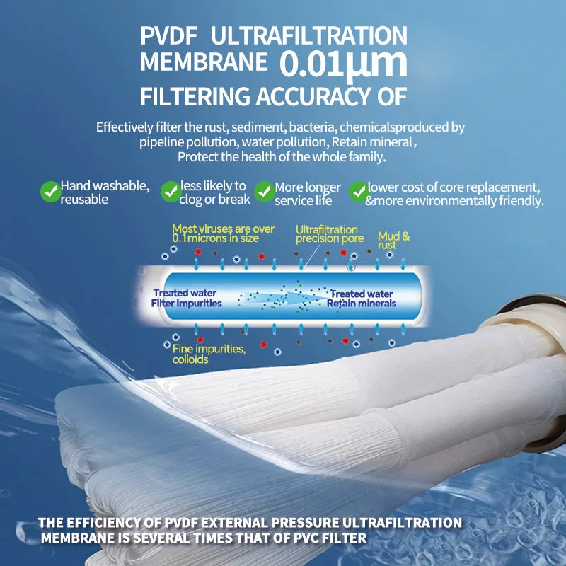 1000L Whole House Water Purifier with 0.01 PVDF Filter
