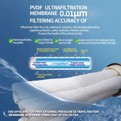 2500L Commercial Water Purifier with 0.01 PVDF Filter System