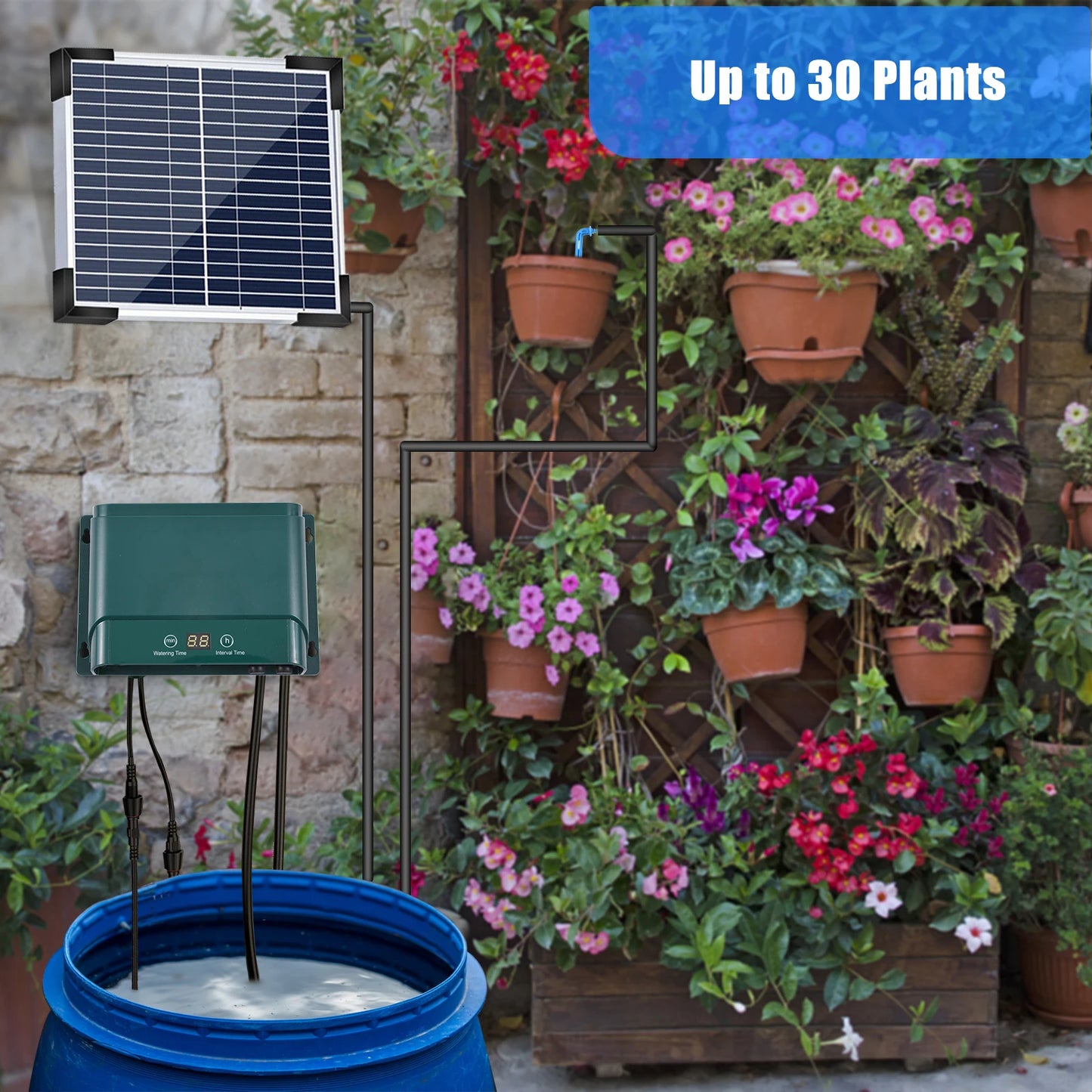 Solar Powered Drip Irrigation System for 50 Plants