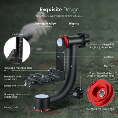 Professional Gimbal Head for 360 Degree Panoramic Photography