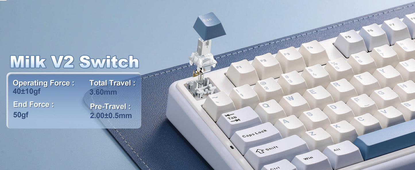 96% Wireless RGB Gaming Keyboard Hot Swappable Blue
